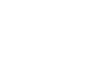 Fryer Oil